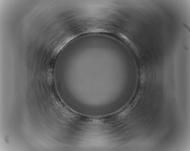 X0000102801361200808181151
