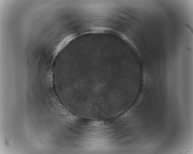 X0000102801362200808181151