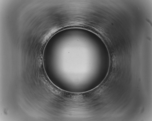 X0000102801363200808181151