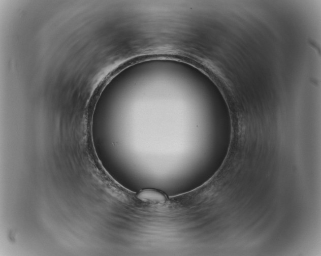 X0000102801364200808181151