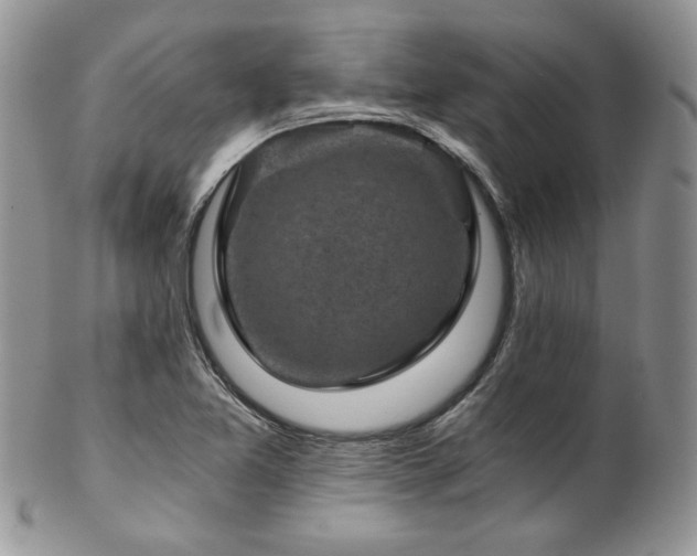 X0000102801365200808181151