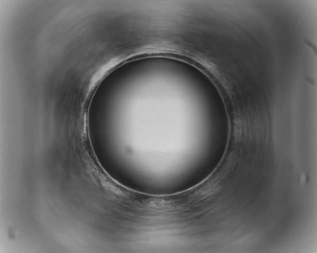 X0000102801366200808181151