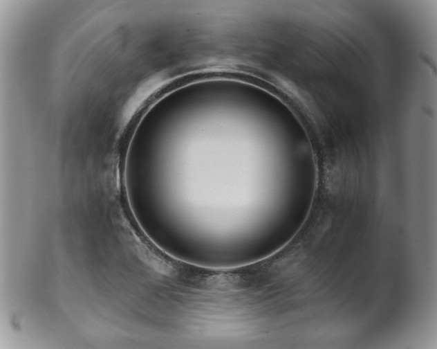 X0000102801368200808181151
