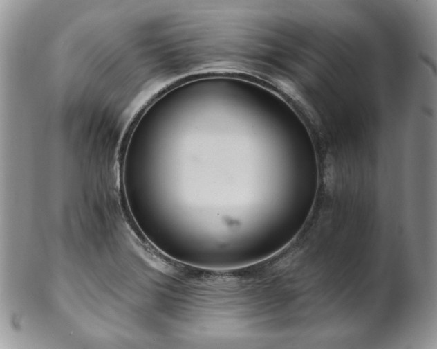 X0000102801372200808181151