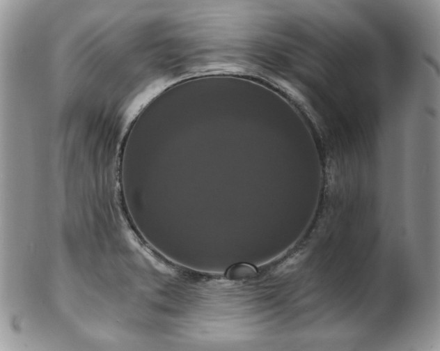 X0000102801373200808181151