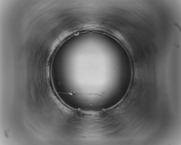 X0000102801376200808181151