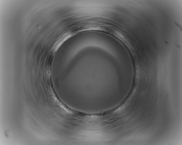 X0000102801377200808181151