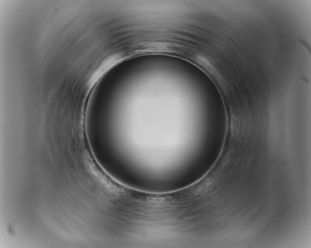 X0000102801378200808181151