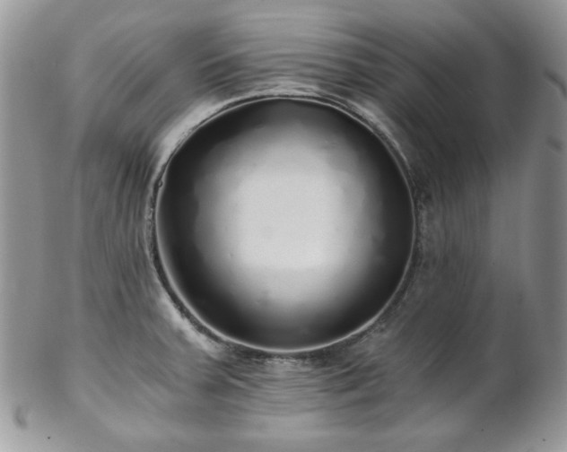 X0000102801379200808181151