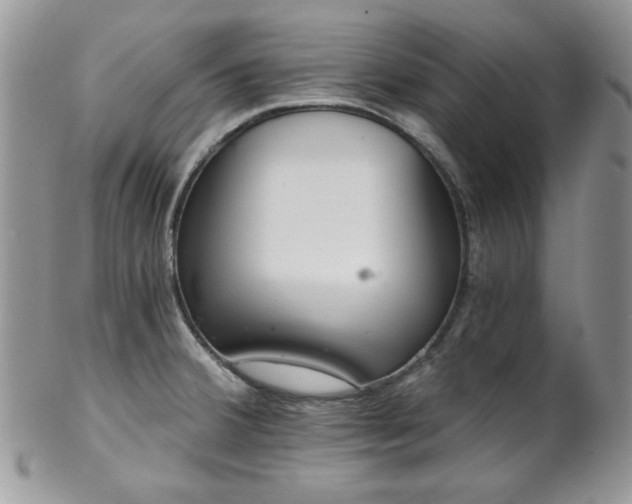 X0000102801380200808181151