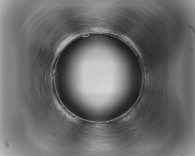 X0000102801381200808181151
