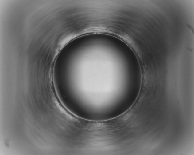 X0000102801382200808181151