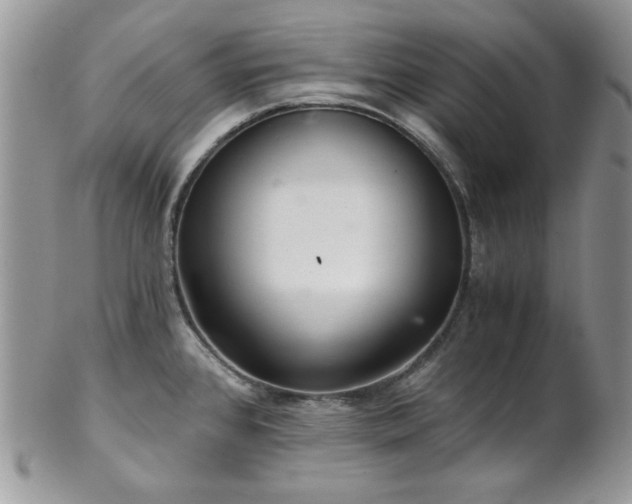 X0000102801384200808181151