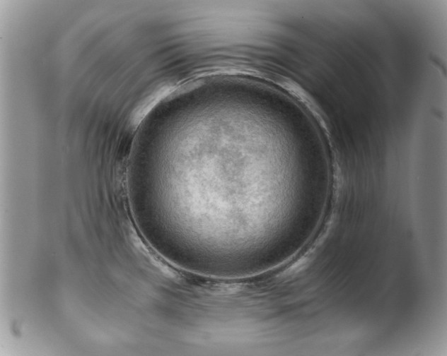 X0000102801385200808181151