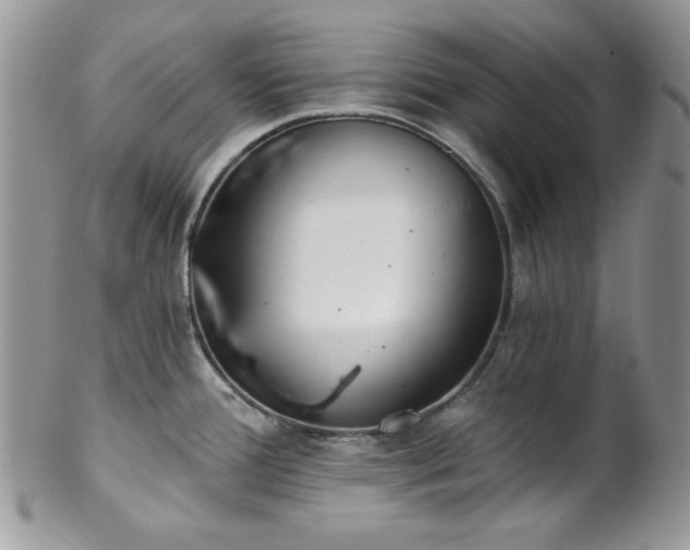 X0000102801388200808181151