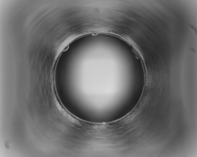 X0000102801389200808181151