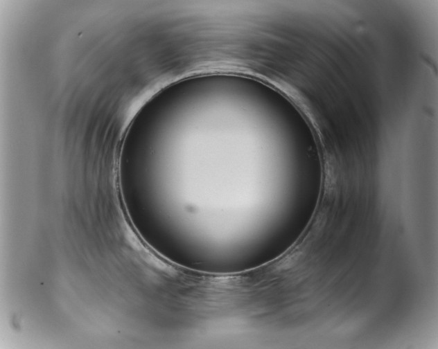 X0000102801390200808181151