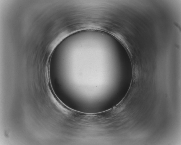 X0000102801391200808181151