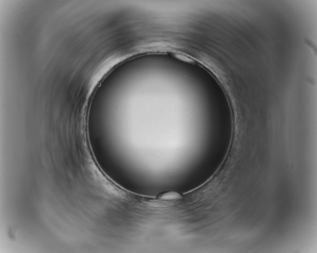 X0000102801392200808181151