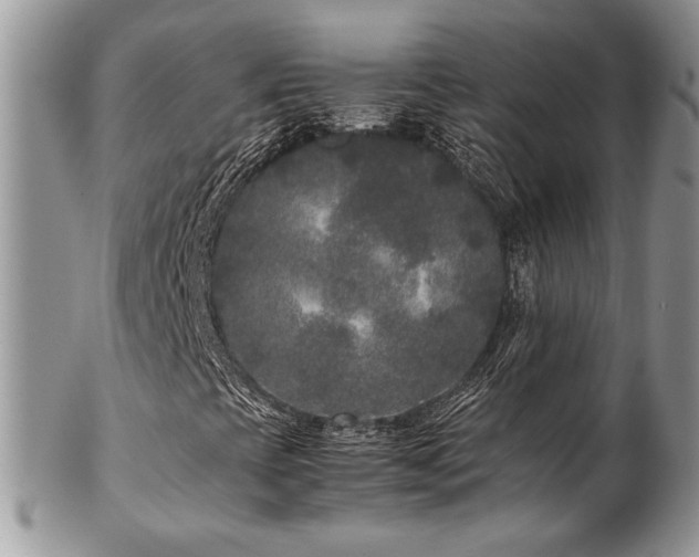 X0000102801393200808181150