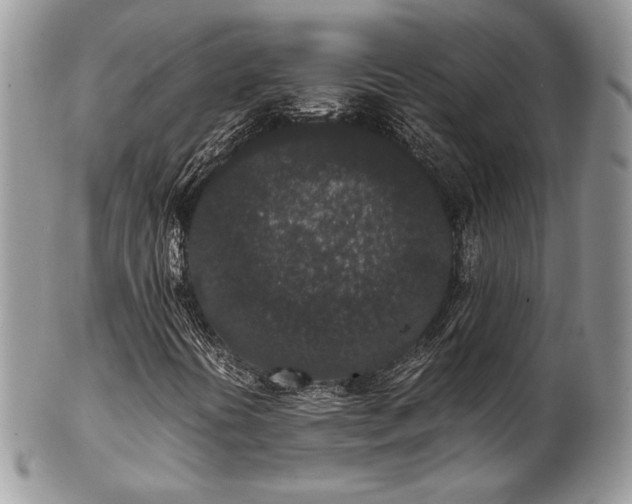 X0000102801394200808181150