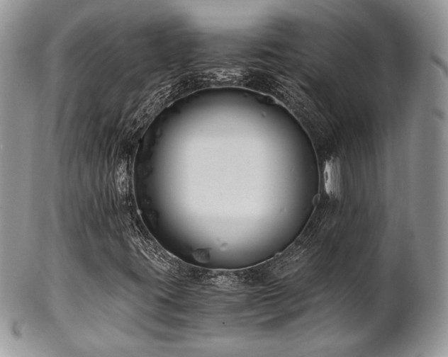 X0000102801395200808181150