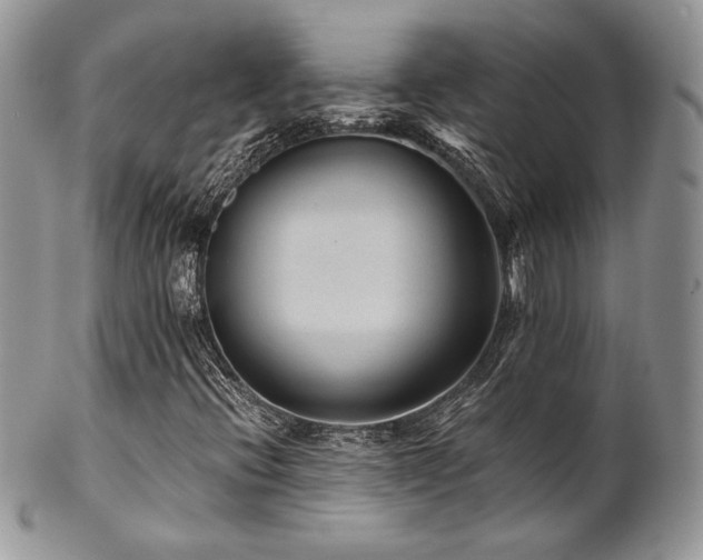 X0000102801396200808181150