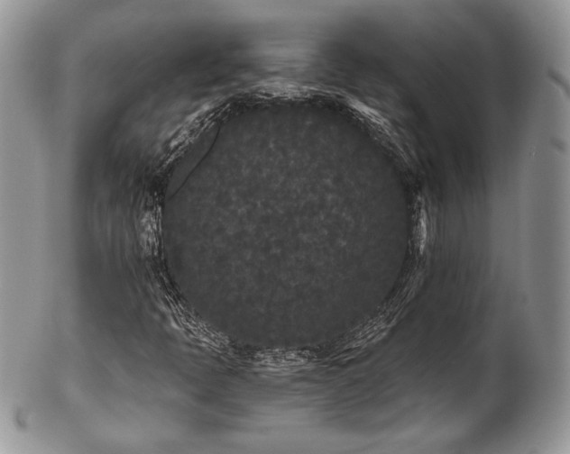 X0000102801397200808181150