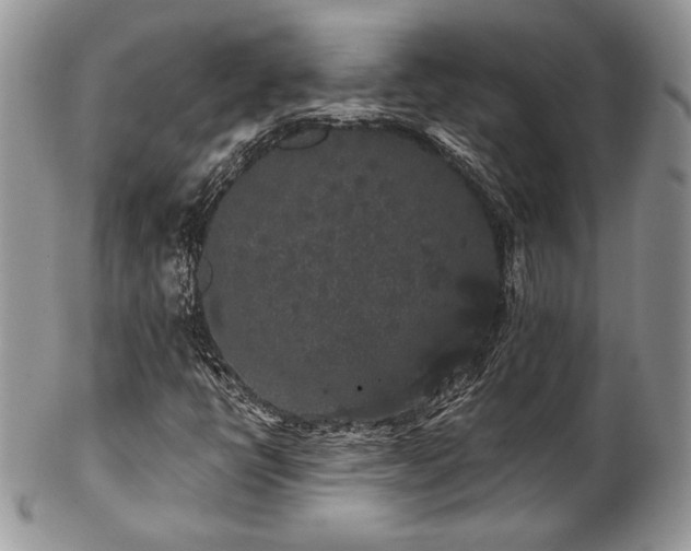 X0000102801398200808181150