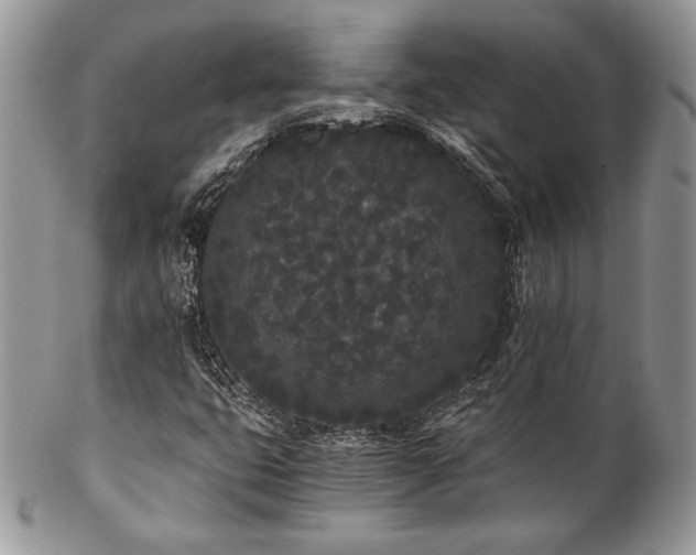 X0000102801399200808181150