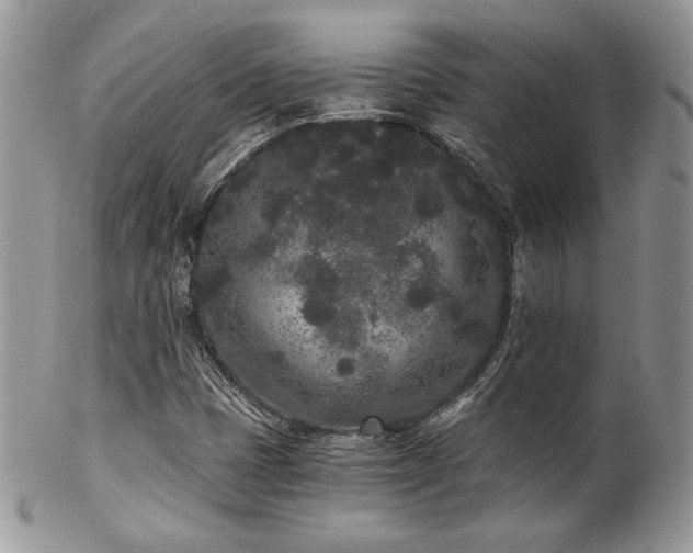 X0000102801401200808181150