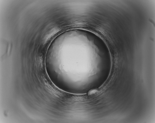 X0000102801402200808181150