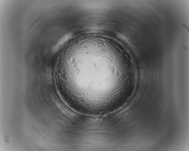 X0000102801403200808181150