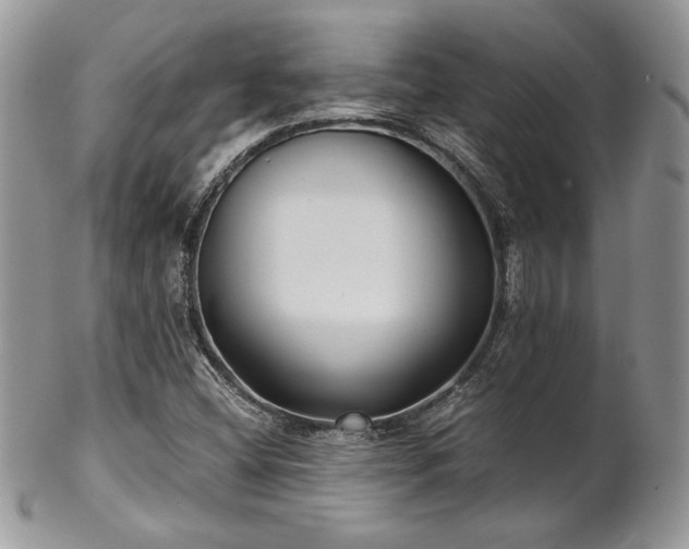 X0000102801404200808181150
