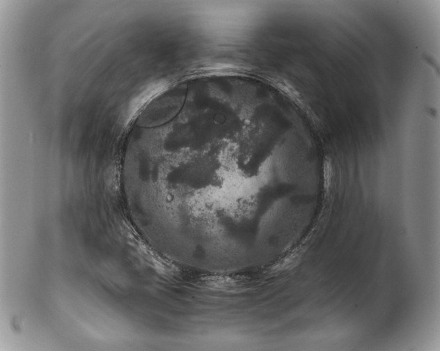 X0000102801405200808181150