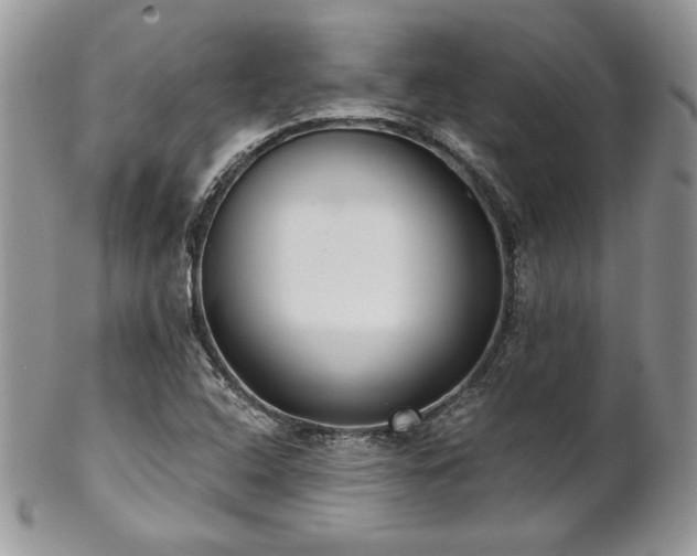 X0000102801408200808181150