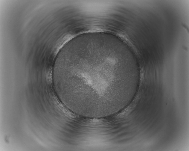 X0000102801409200808181150