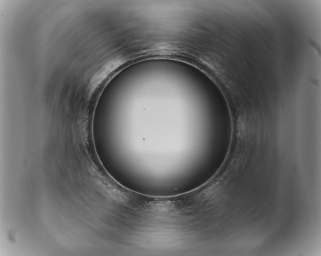 X0000102801410200808181151