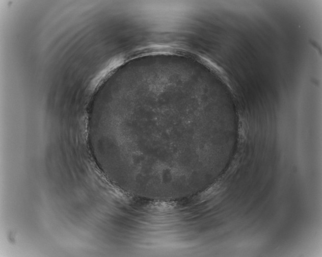 X0000102801411200808181151