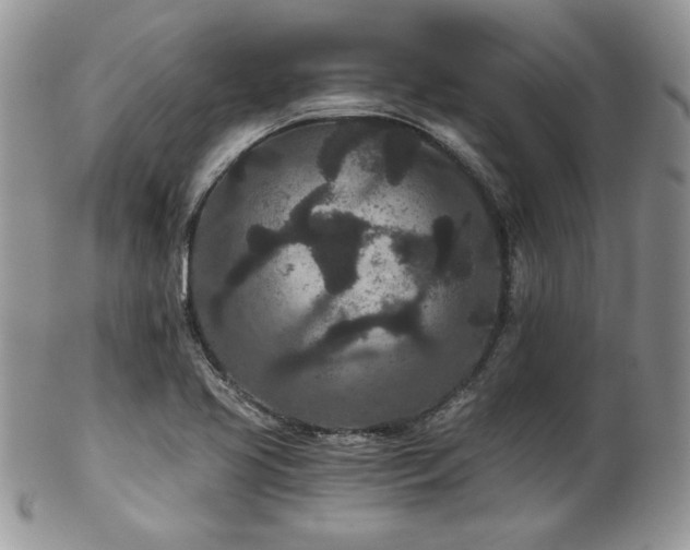 X0000102801413200808181151