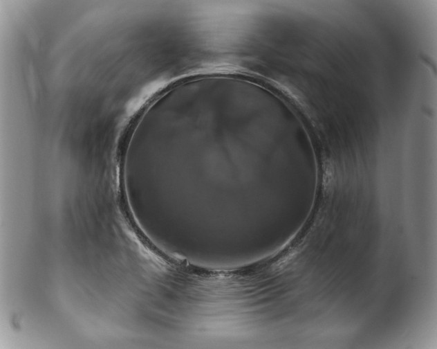 X0000102801414200808181151