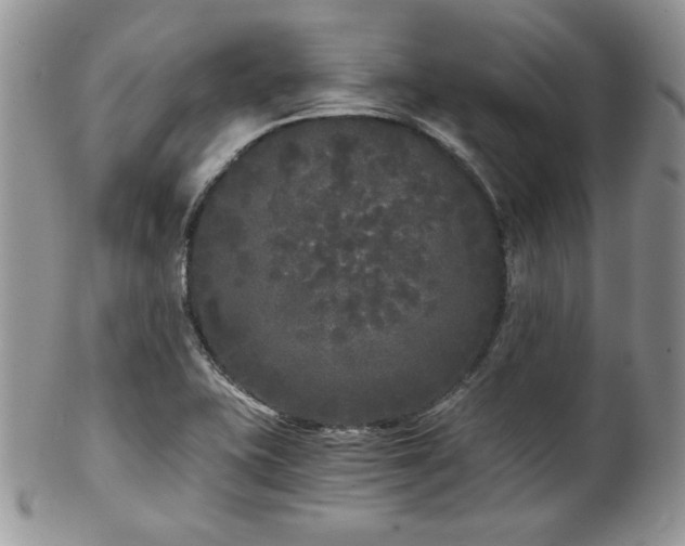 X0000102801415200808181151