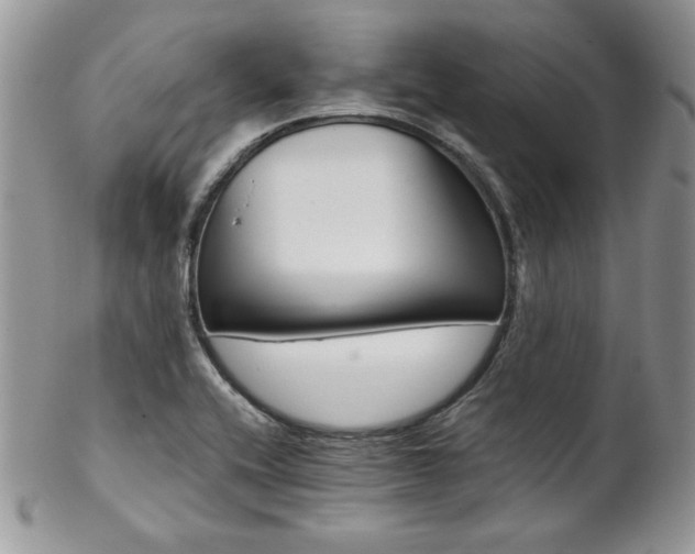 X0000102801416200808181151