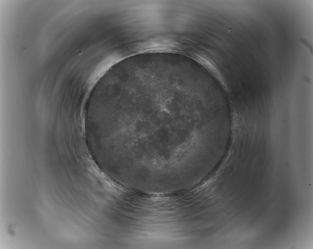 X0000102801419200808181151