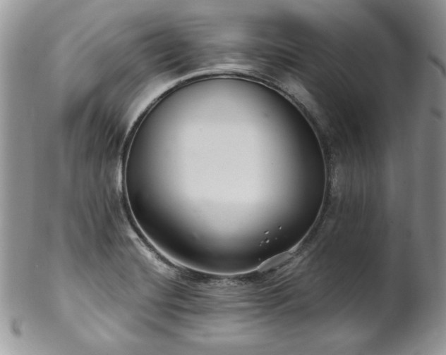 X0000102801420200808181151