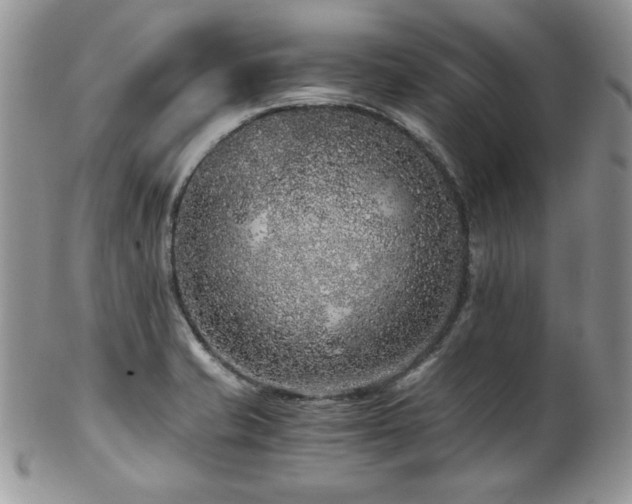 X0000102801421200808181151