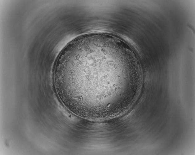 X0000102801423200808181151