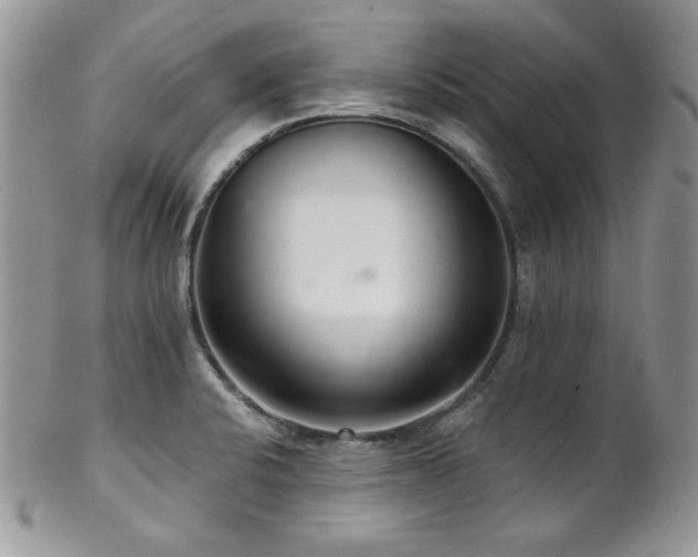 X0000102801424200808181151