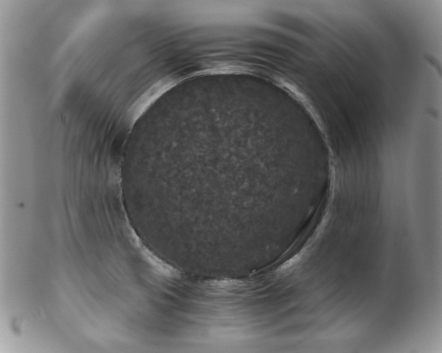X0000102801425200808181151