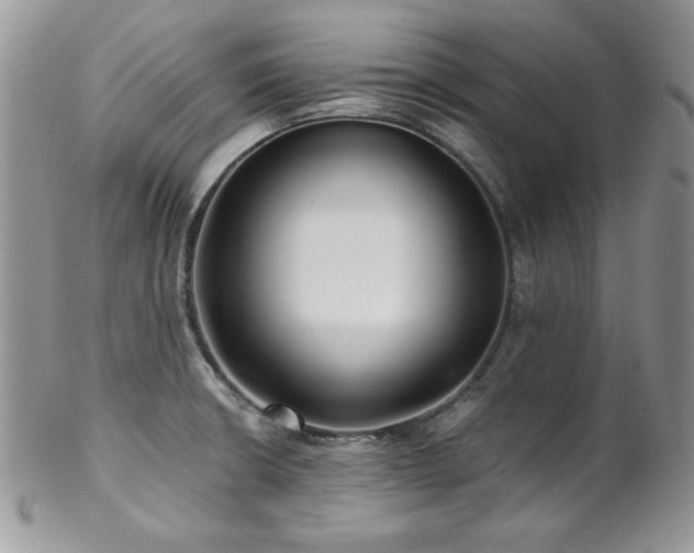 X0000102801426200808181151